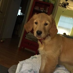 Meet your Posher, Deborah